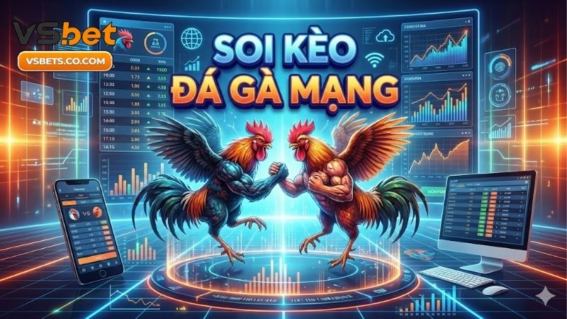 Soi kèo đá gà mạng - Bí quyết chọn chiến kê thắng tỷ lệ cao 5 soi-keo-da-ga-mang-bi-quyet-chon-chien-ke-thang-ty-le-cao